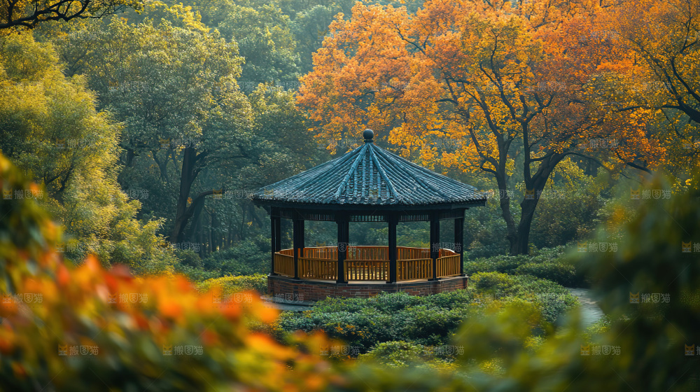 秋日落叶景观场景建筑素材