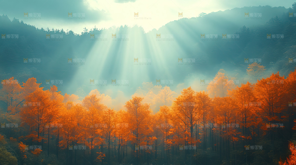 秋日落叶景观场景建筑素材