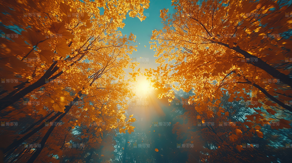 秋日落叶景观场景建筑素材