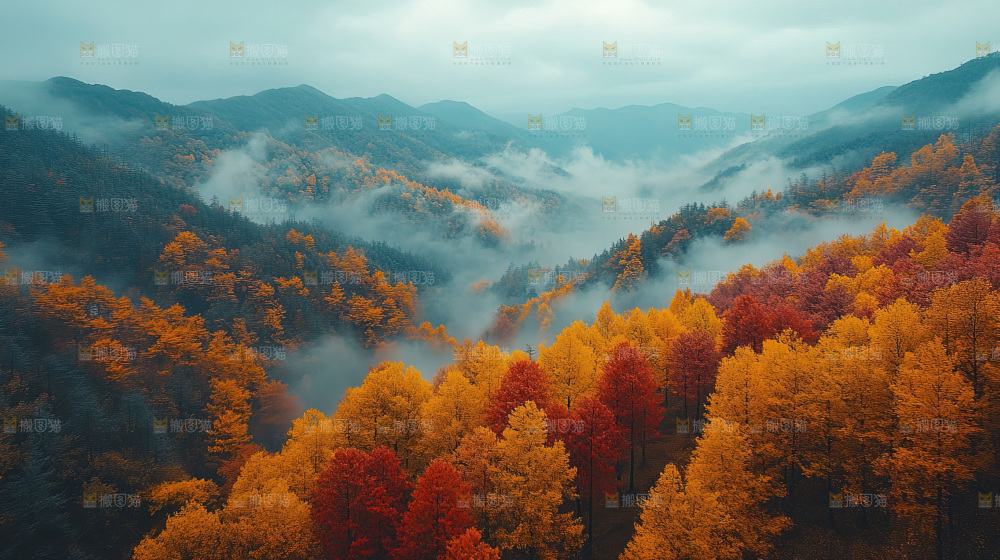 秋日落叶景观场景建筑素材