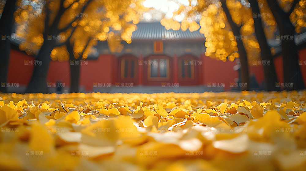 秋日落叶景观场景建筑素材