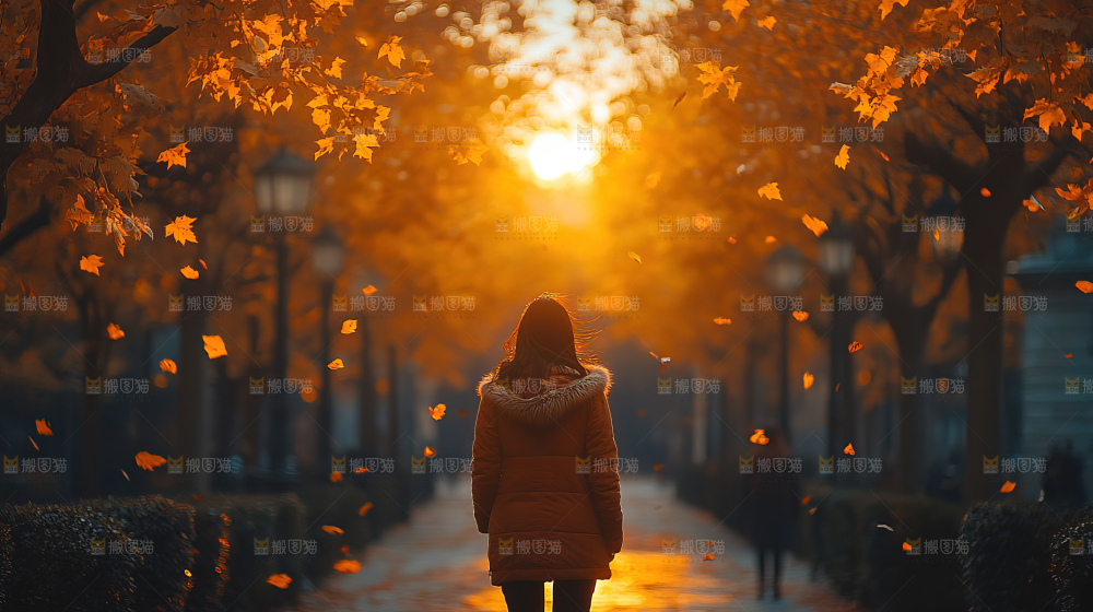 秋日落叶景观场景建筑素材