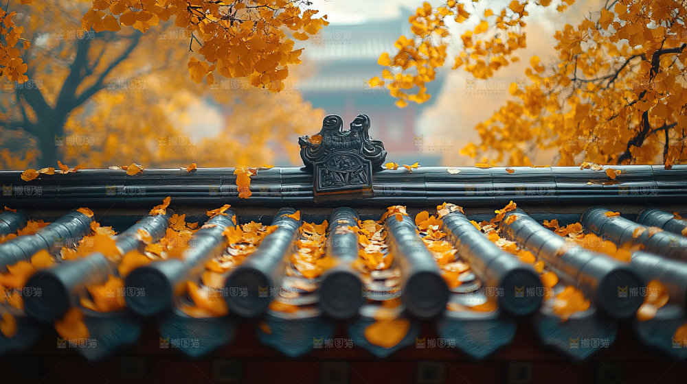 秋日落叶景观场景建筑素材