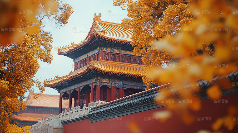 秋日落叶景观场景建筑素材