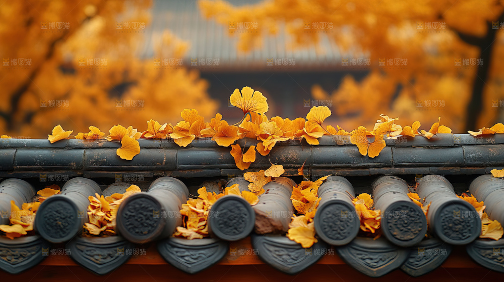 秋日落叶景观场景建筑素材