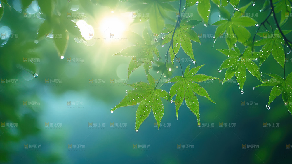 阳光光晕绿色自然生命希望