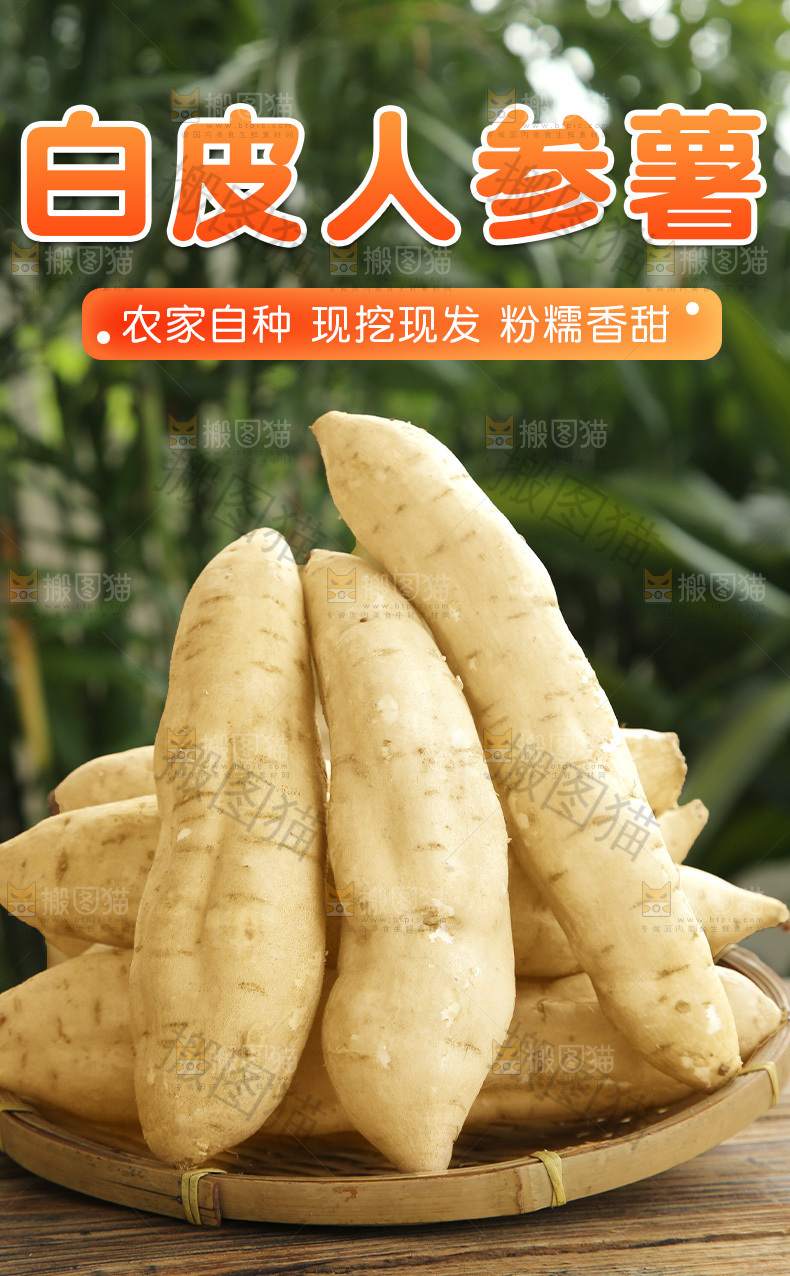 人参薯详情页