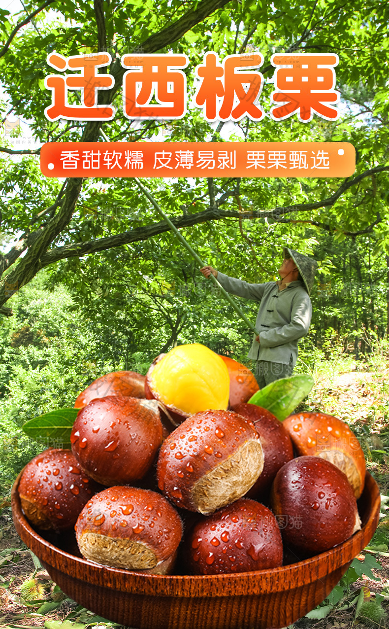 迁西板栗详情页