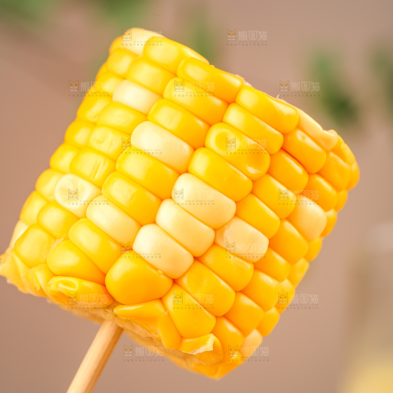 玉米段