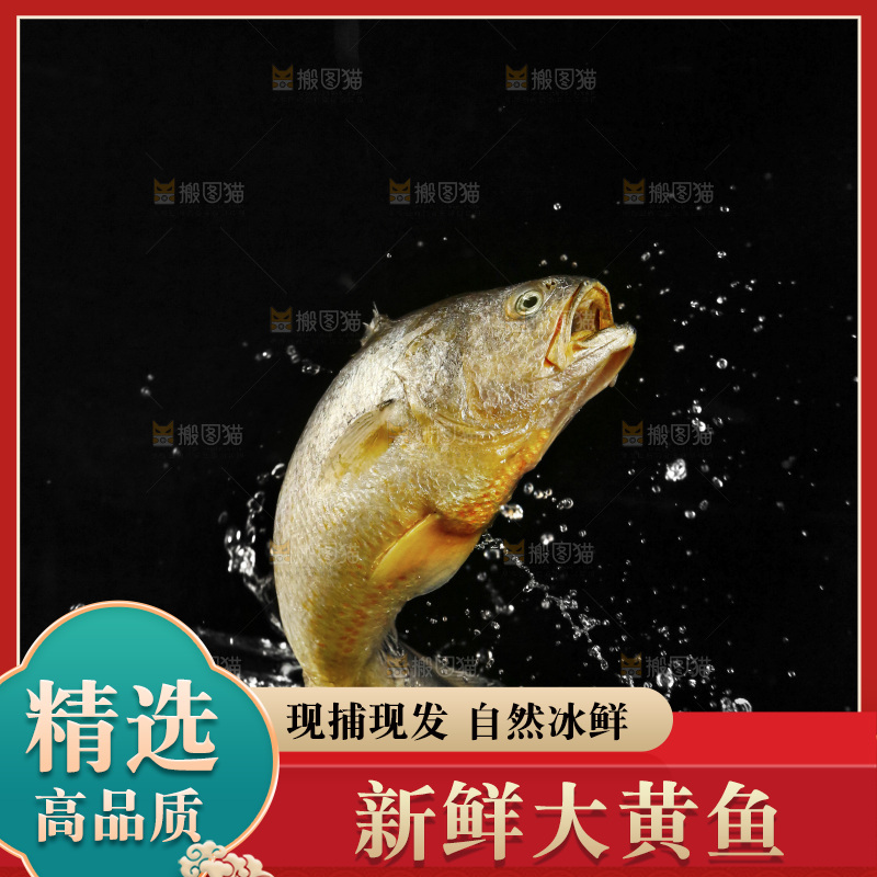 大黄鱼