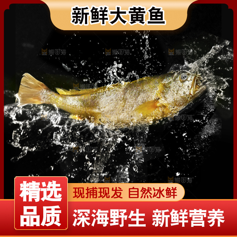大黄鱼