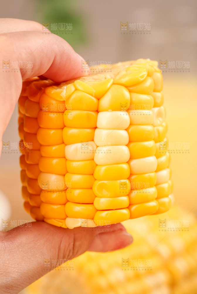 玉米段