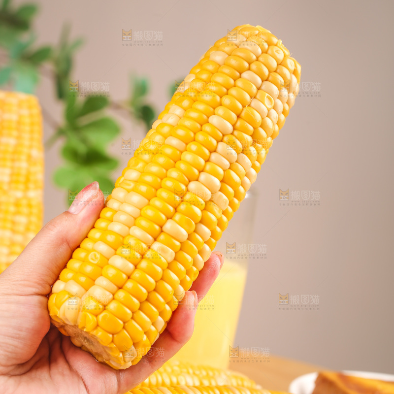即食玉米