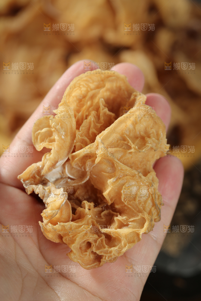 羊肚耳