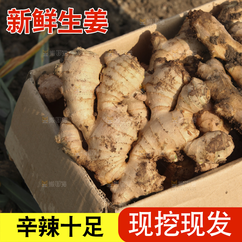 生姜