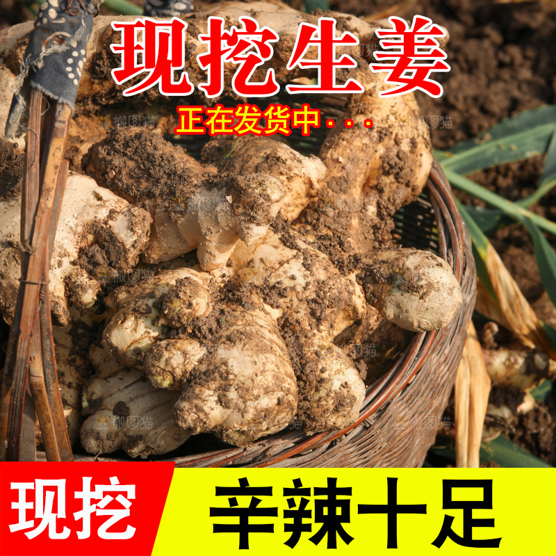 生姜