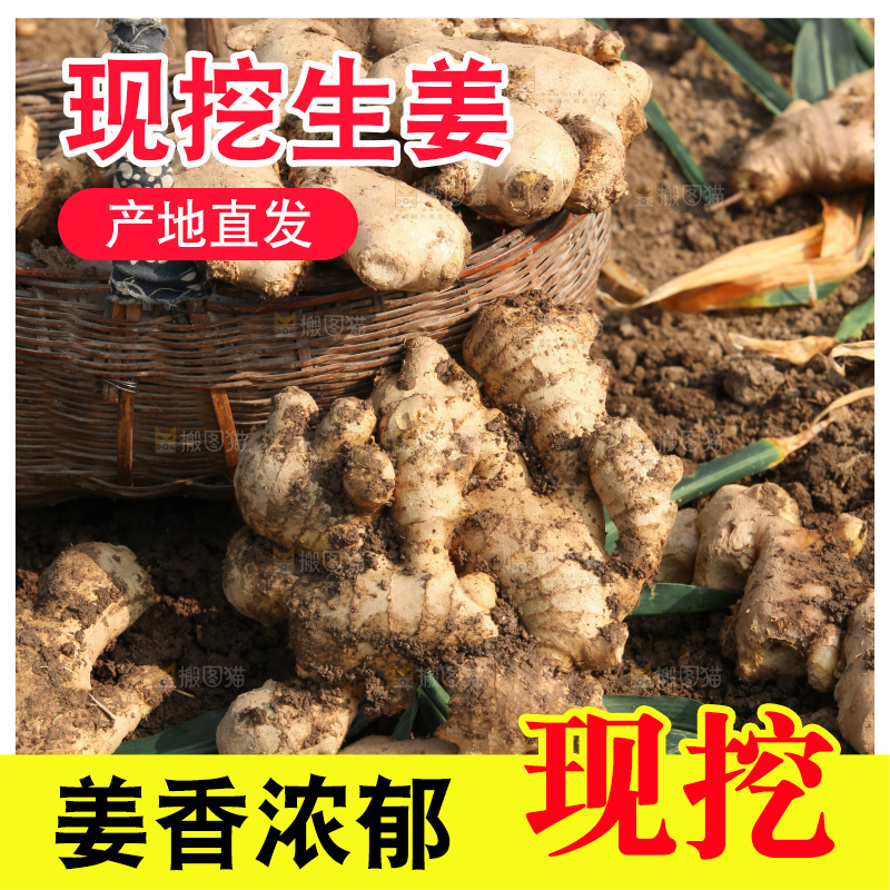 生姜