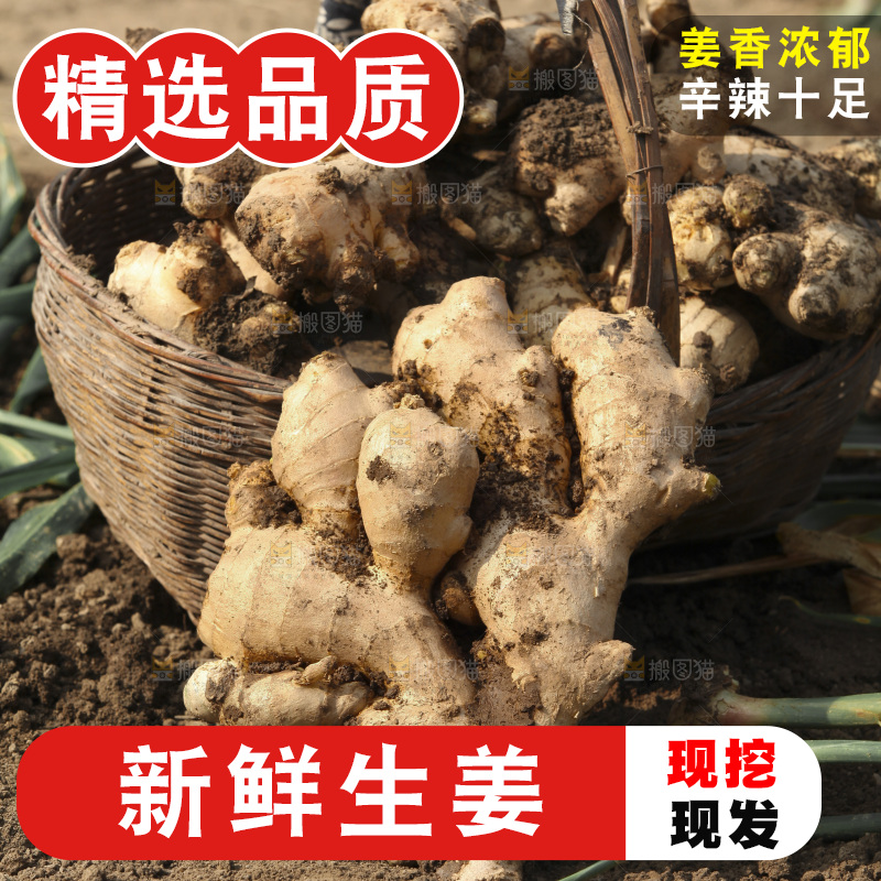 生姜