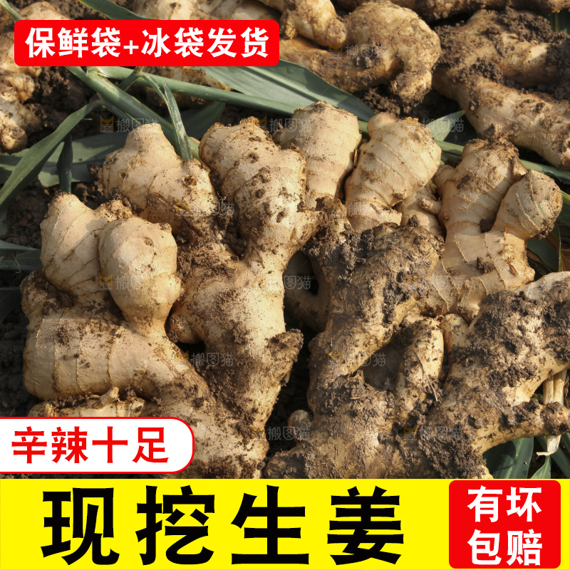 生姜