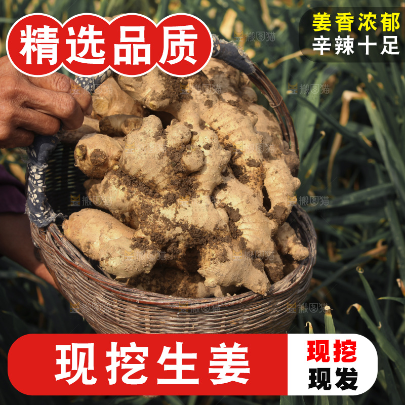 生姜