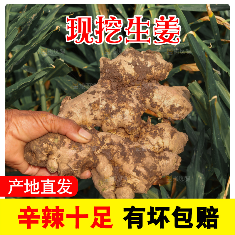 生姜
