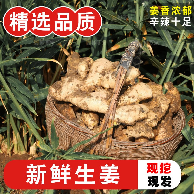 生姜
