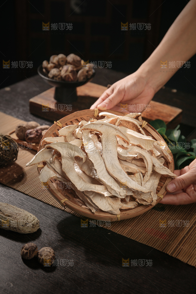 白松茸