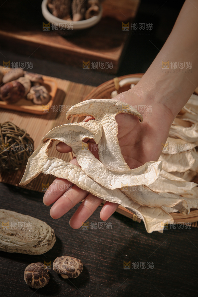 白松茸
