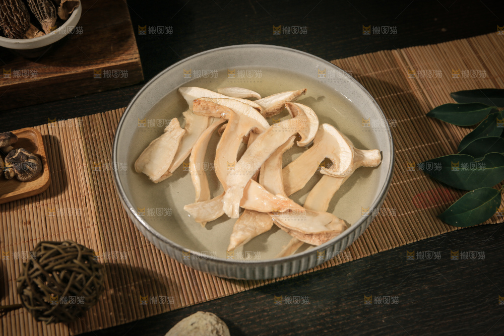白松茸