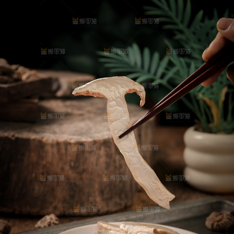 白松茸