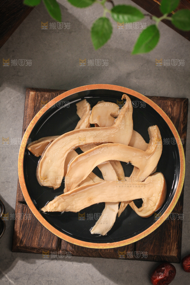 白松茸