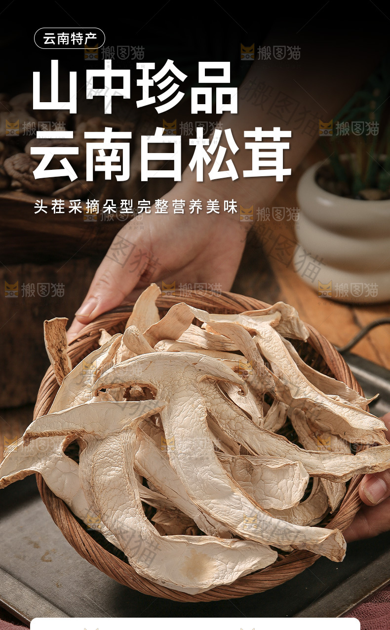 白松茸详情页