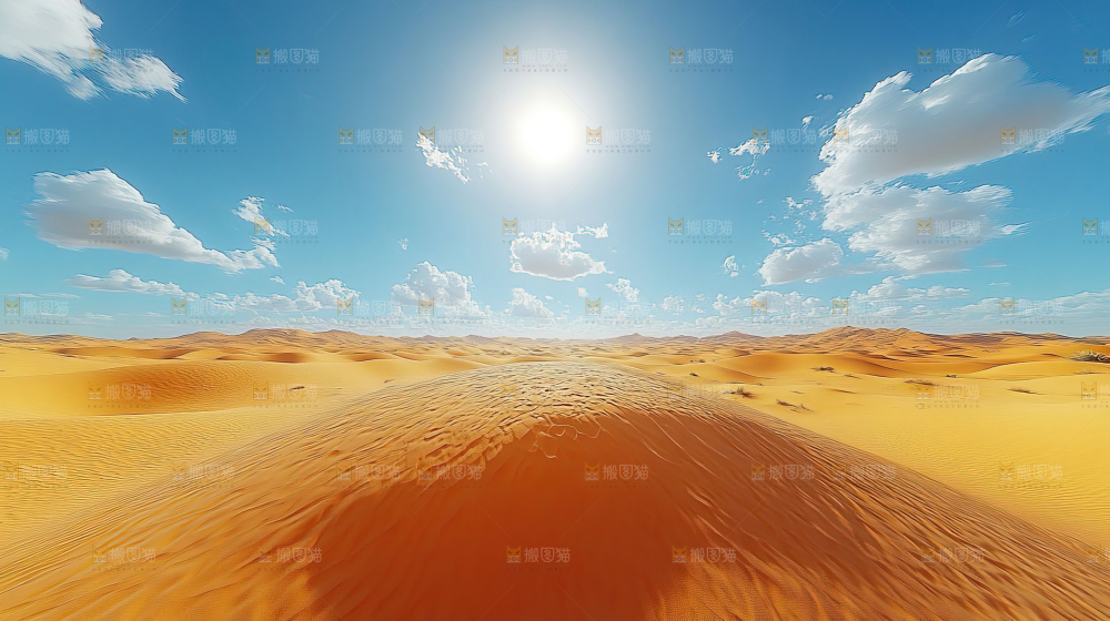 沙漠 自然 景观 绿进沙退