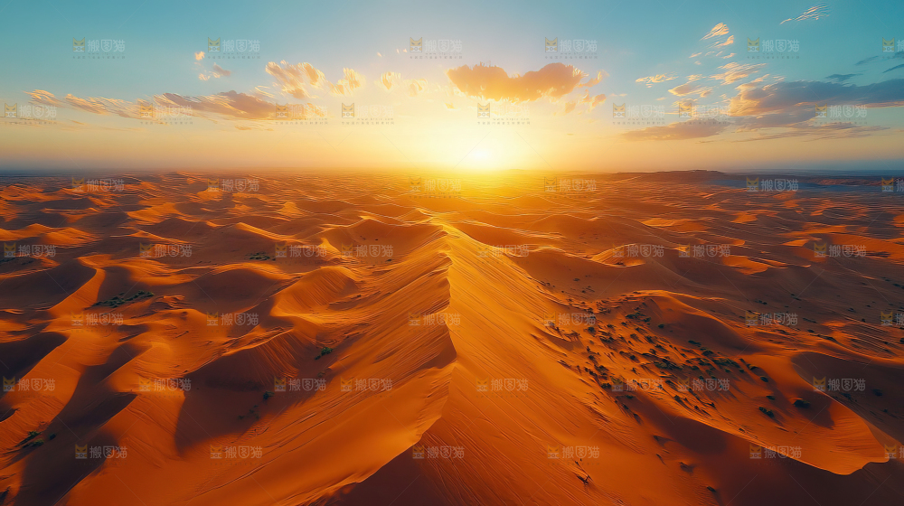 沙漠 自然 景观 绿进沙退