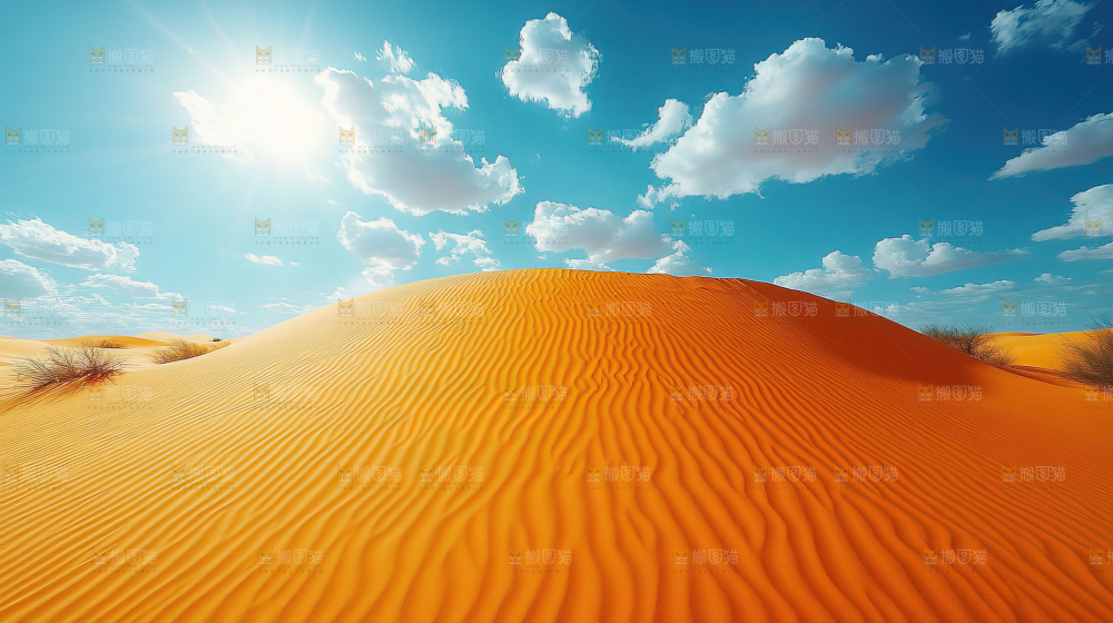 沙漠 自然 景观 绿进沙退