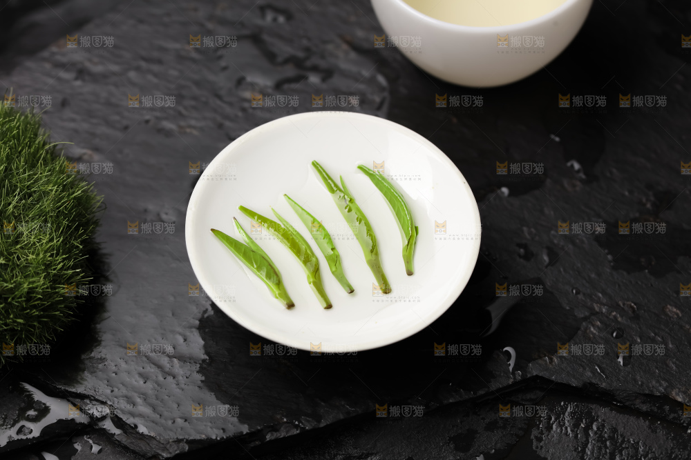 雀舌