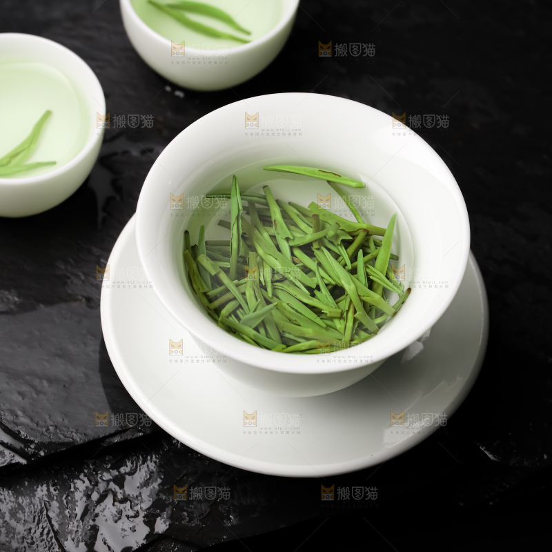 雀舌