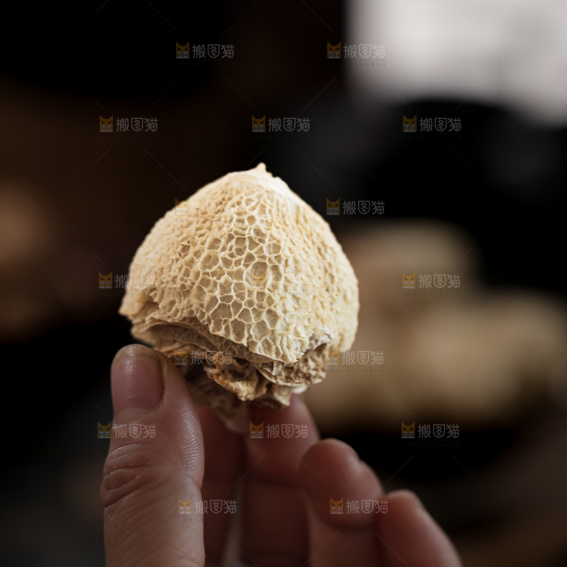 竹毛肚