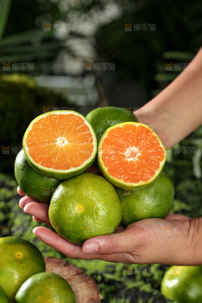 青皮蜜桔