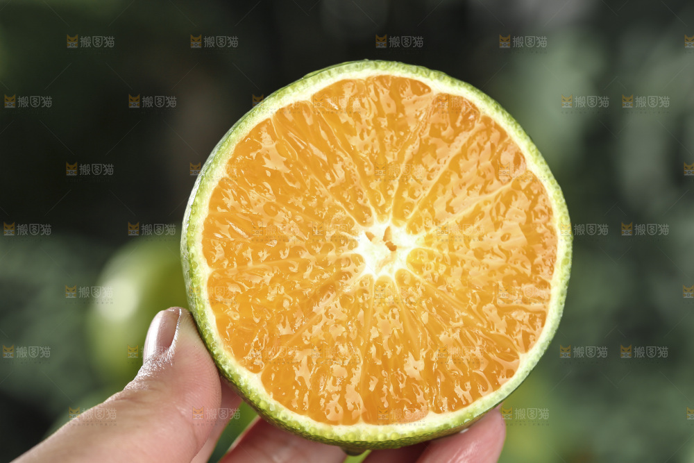青皮蜜桔