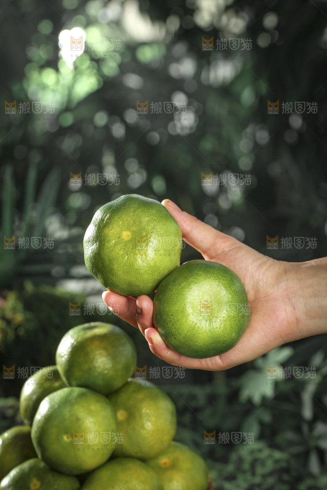 青皮蜜桔