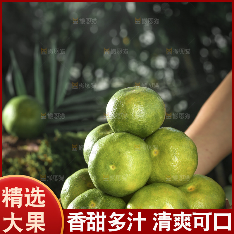 青皮蜜桔