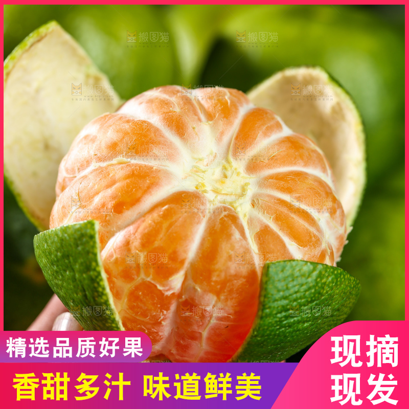 青皮蜜桔