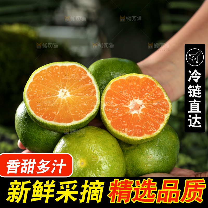 青皮蜜桔