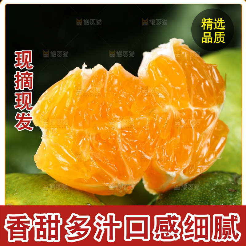 青皮蜜桔