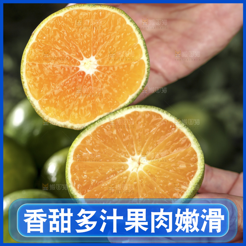 青皮蜜桔