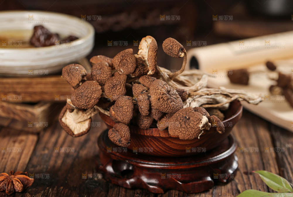 茶树菇