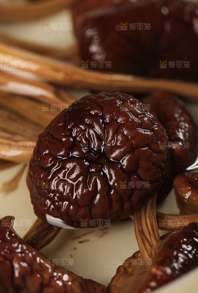 茶树菇