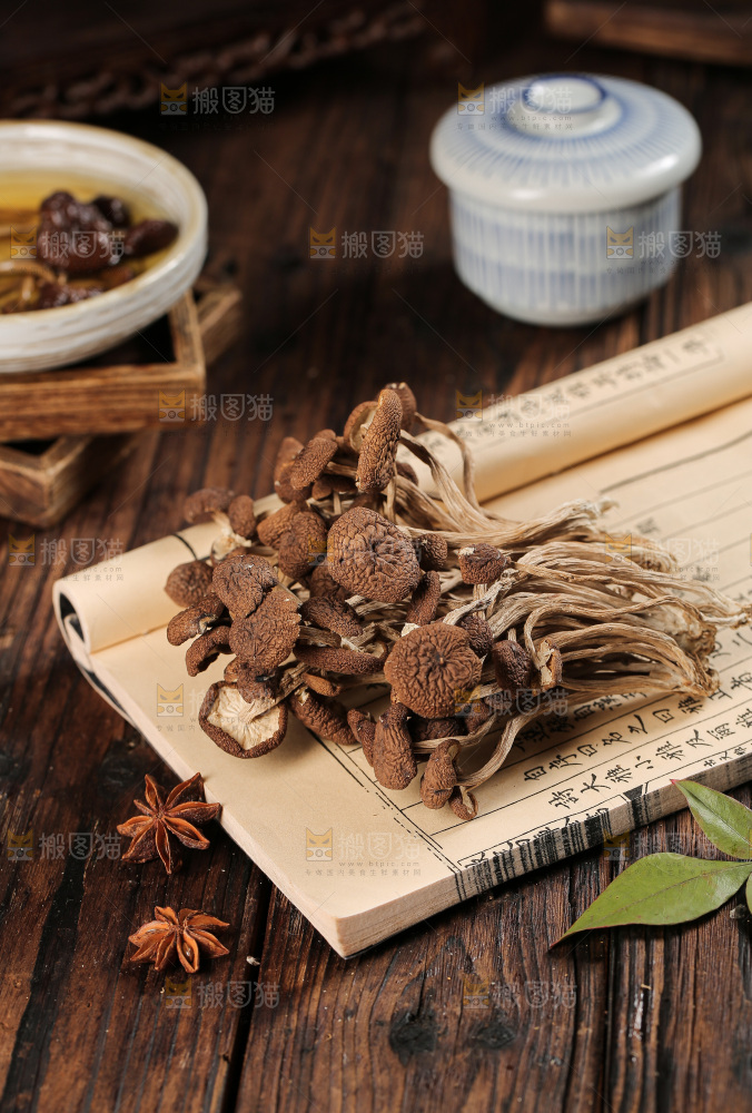 茶树菇