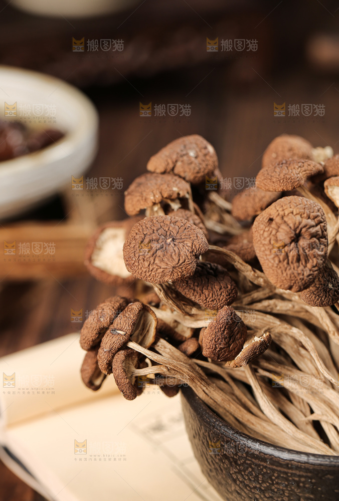 茶树菇